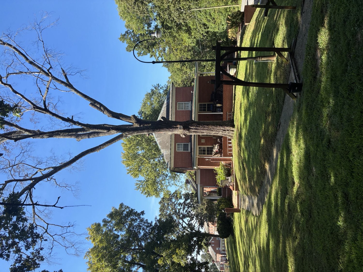 Custom home with mature trees and clear sky, built by Top Rock Solutions near Chattanooga